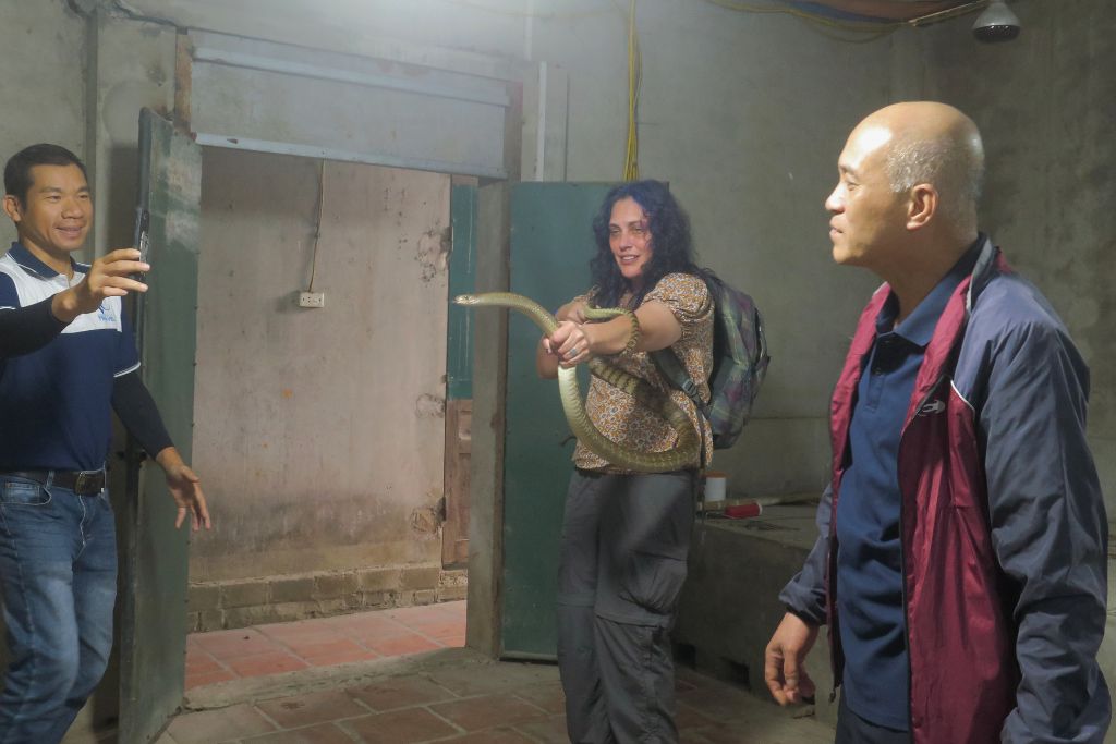 You are currently viewing Le Mat Snake Village Tour